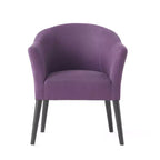 Upholstered Accent Arm Chair – Comfortable Seating for Living Room & Bedroom